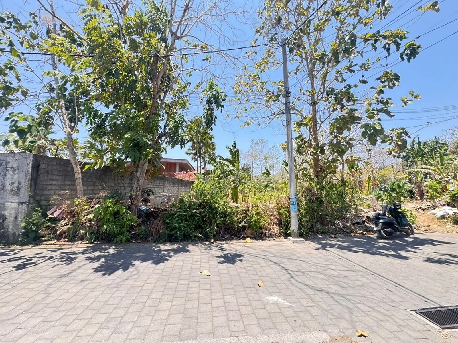 The Buana Sari Land, photograph 2