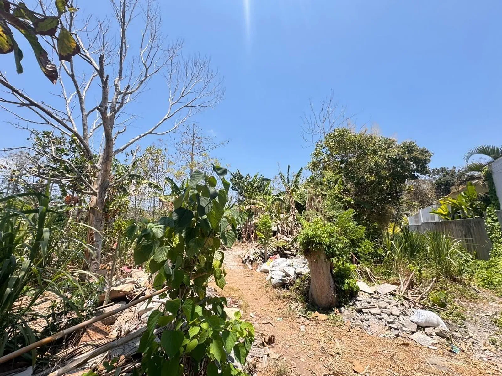 The Buana Sari Land, photograph 4