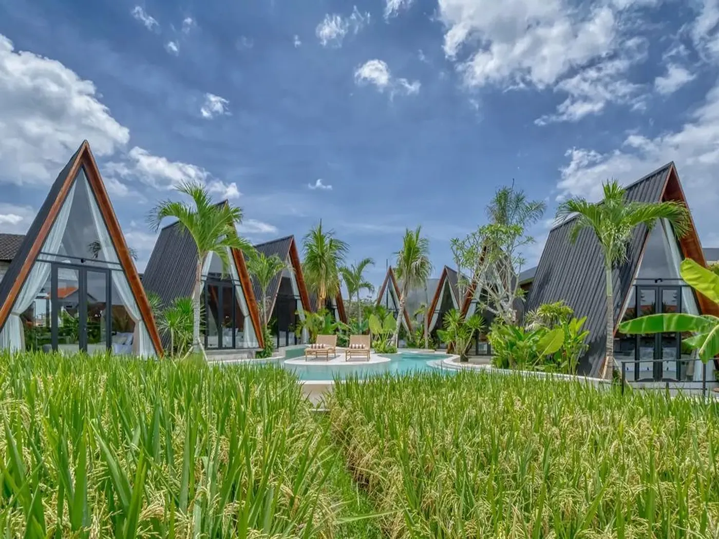 The Paddy Field A-Frames, photograph 2
