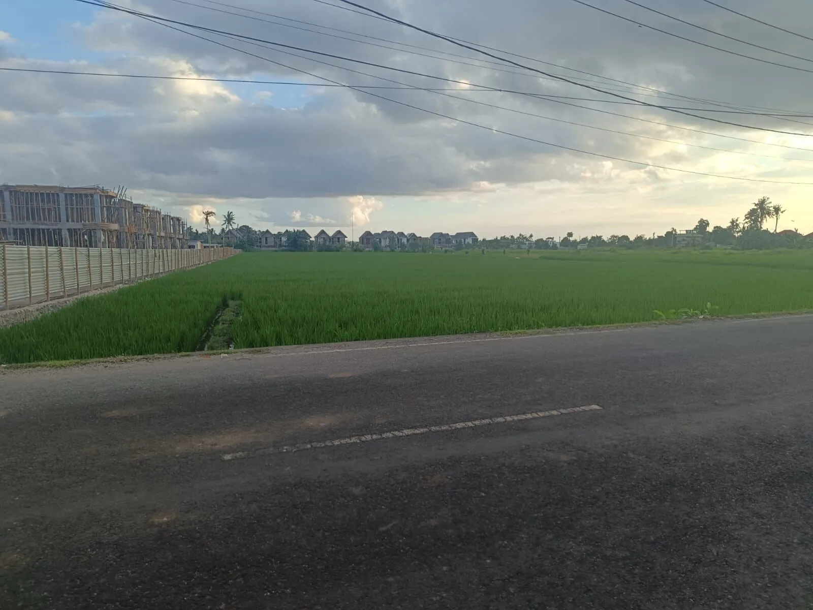 The Pigstone Paddy, photograph 4